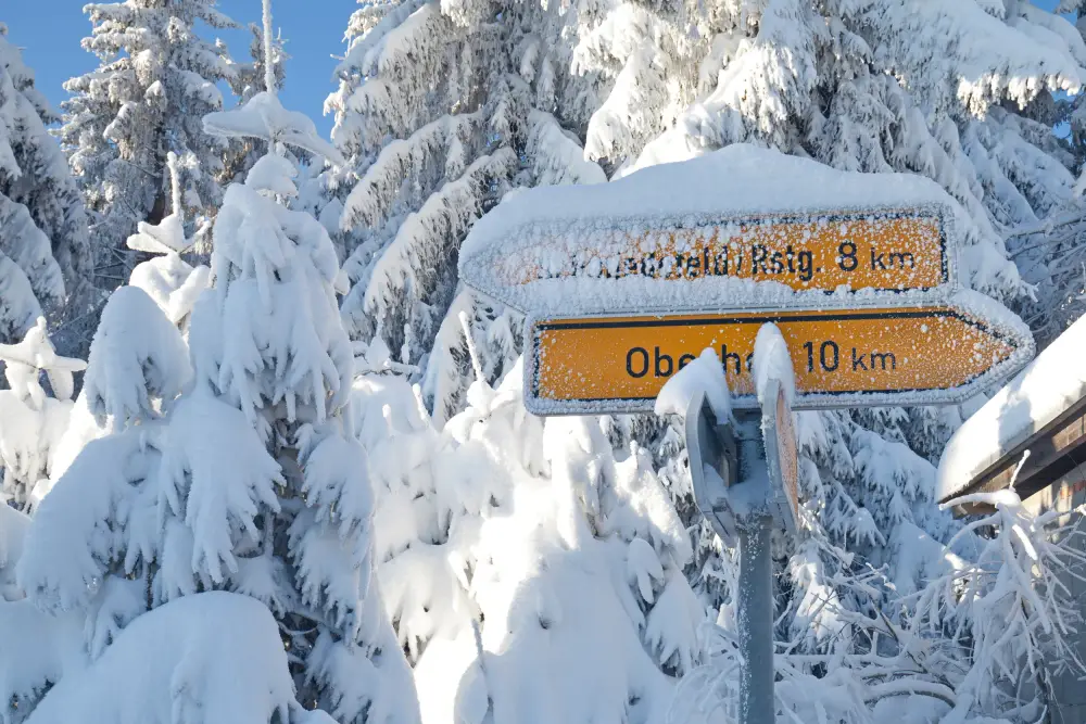 Winterabenteuer Oberhof Impression 2