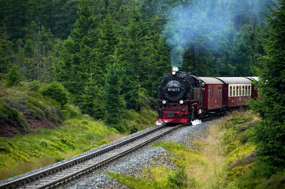 Sagenhafte Harzer Bergwelt mit der Schmalspurbahn Impression 3