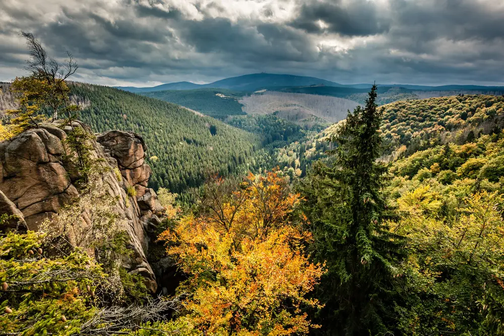Sagenhafte Harzer Bergwelt mit der Schmalspurbahn Impression 1
