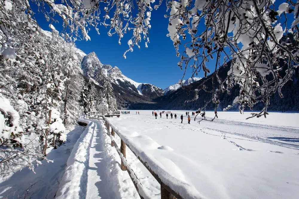 Biathlon-Weltcup Reise Antholz Impression 1