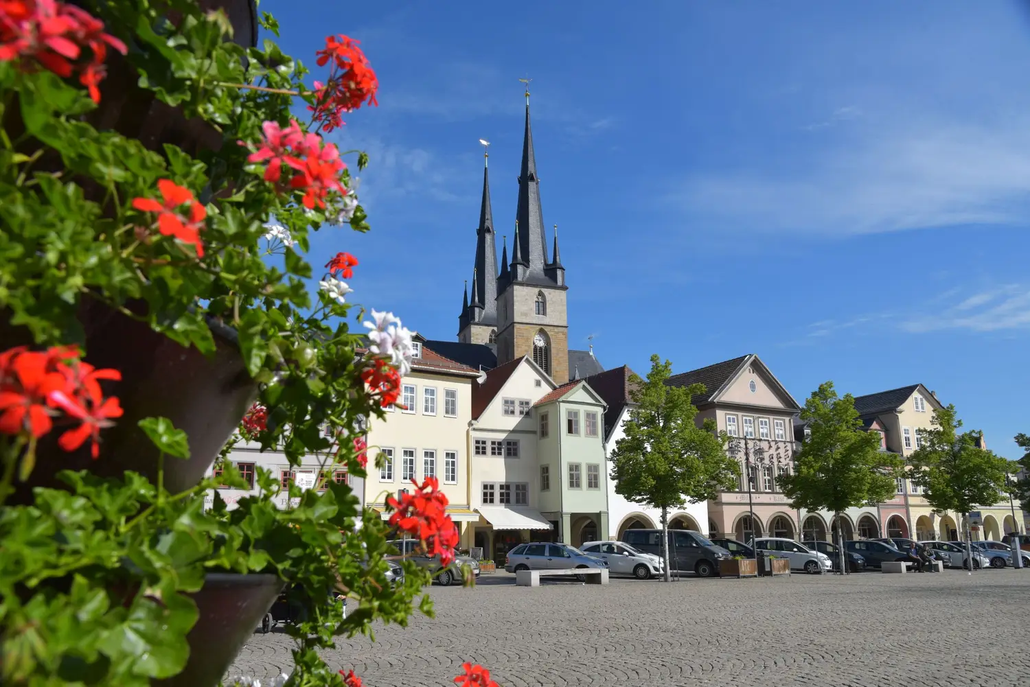 Wilde Pferde, grünes Tal & alte Mauern Impression 2