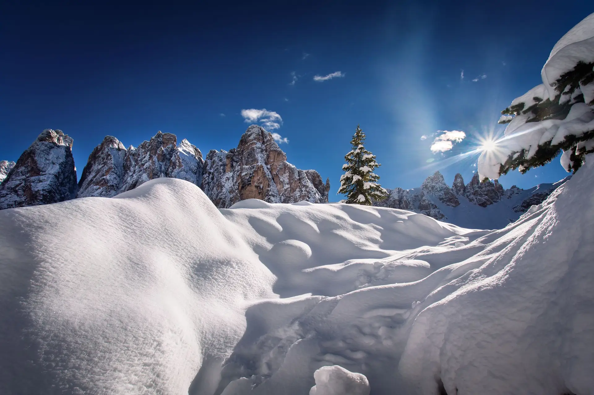 Biathlon-Weltcup Reise Antholz