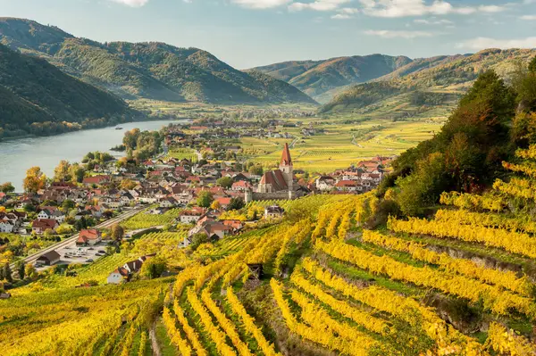 Wien & die liebliche Wachau Impression 4
