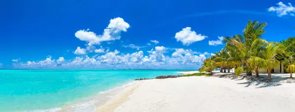 TUI Cruises - Florida & Bahamas Impression 4