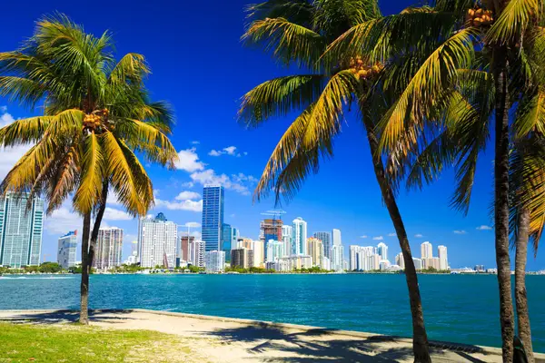 TUI Cruises - Florida & Bahamas Impression 5