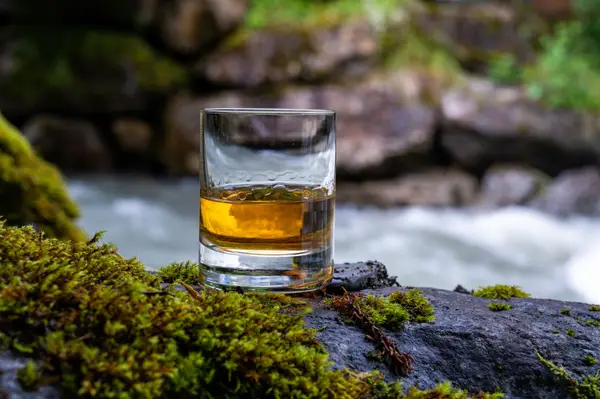 Schottischer Whisky & Irisches Guinness Impression 6