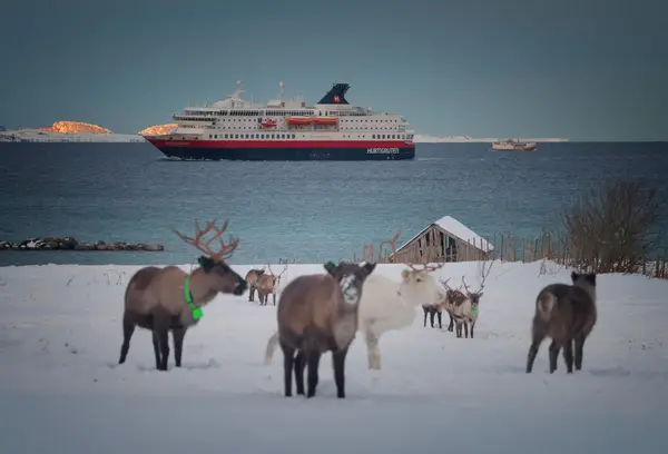 Hurtigruten - Nordlichtzauber Norwegens Impression 4